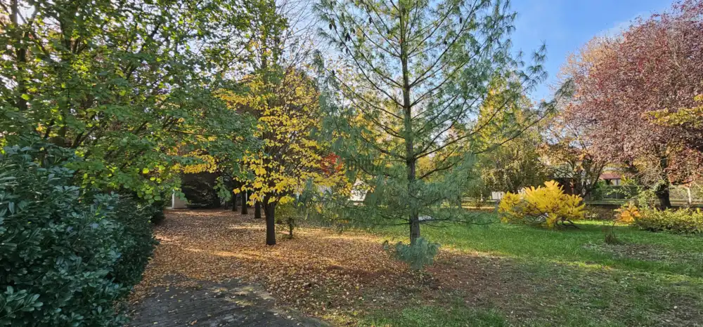 Békés megye - Szarvas