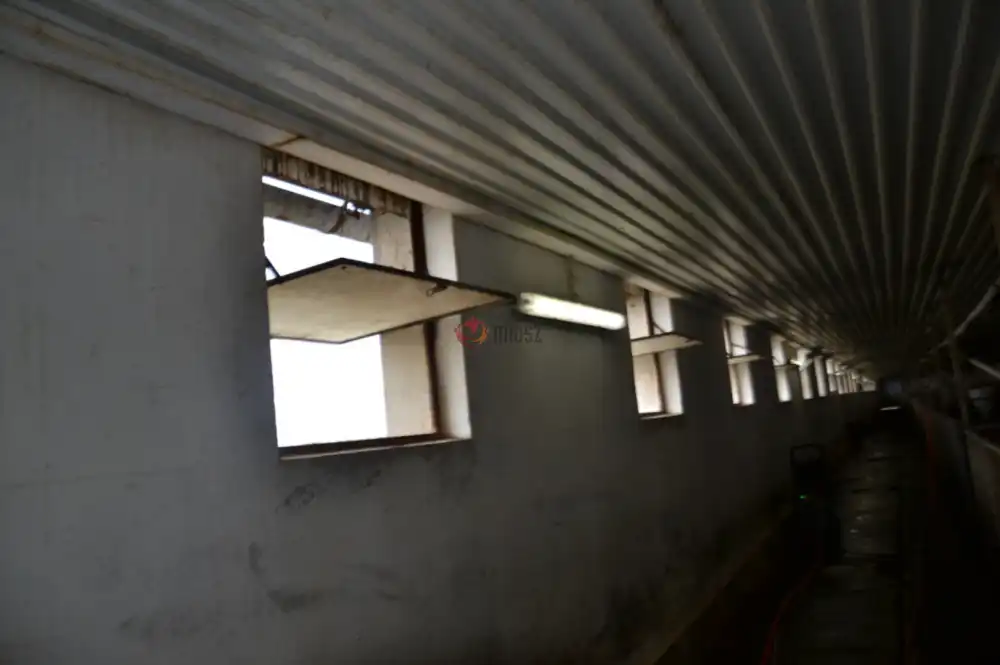 Jász-Nagykun-Szolnok megye - Szolnok